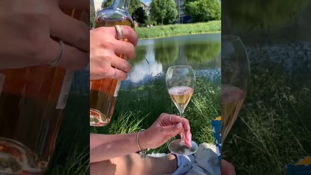 Сумка для пикника смотреть онлайн