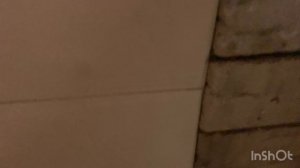 Брусовая баня. Отделка бани