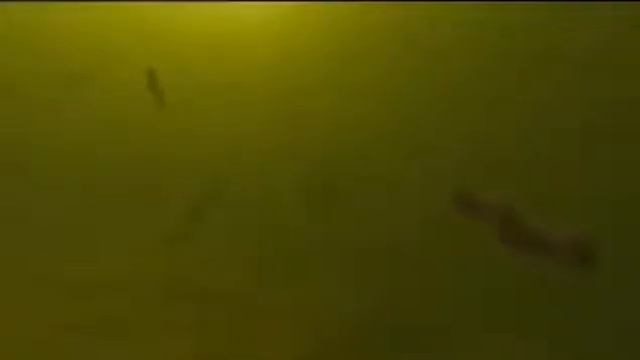 Из чего действительно мы все состоим смотреть онлайн