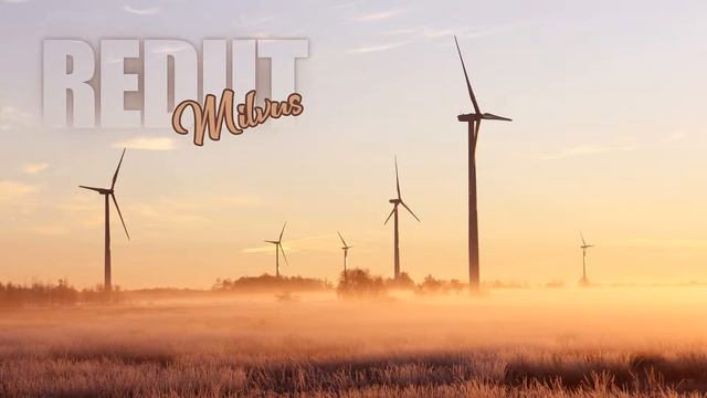 Rediit - Milvus (Original Mix) [Organic & Melodic] смотреть онлайн
