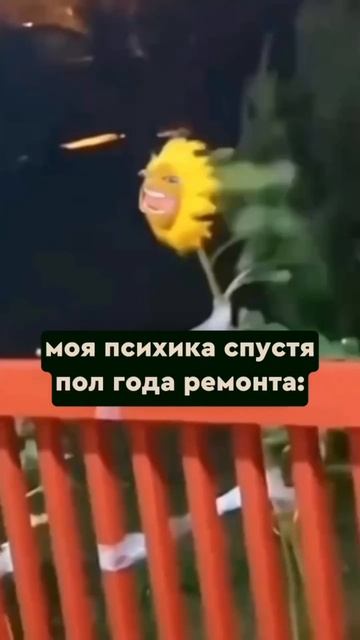 Сколько длится ремонт? #дизайнинтерьера #дизайн #интерьер #ремонтквартир #дизайнквартиры #ремонт смотреть онлайн