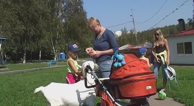 D03_Aug29_Sep19_2008