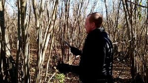 Нож КИЗЛЯР "Милитари" AUS-8