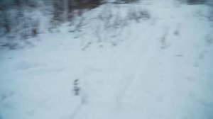 ЯНВАРСКИЕ МОРОЗЫ В УРАЛЬСКОЙ ДЕРЕВНЕ | ПЕЛЬМЕНИ В СМЕТАНЕ И ПОЕЗДКА В ЛЕС