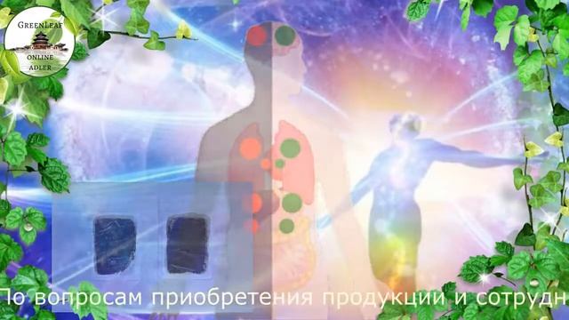 ГРИНЛИФ Детоксикационные пластыри CARICH от GreenLeaf смотреть онлайн