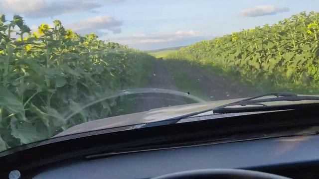 Тест самодельного прицепа. Папа уже присвоил его смотреть онлайн