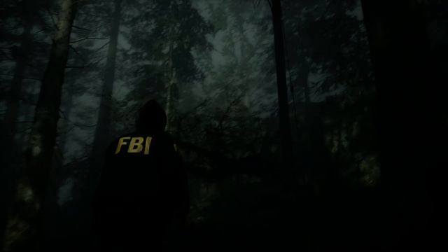 AlanWake 2 2023 4K 144MHz AMD 7900 XT FSR2 Quality Settings HIGH 60 FPS смотреть онлайн