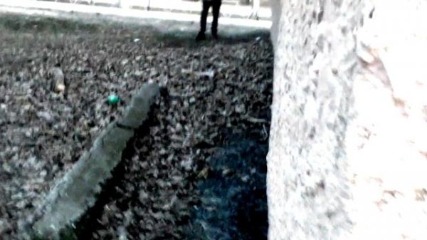 Бомж матерится