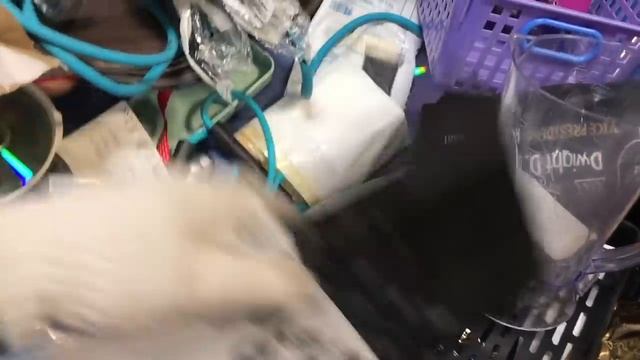 УРА СВАЛКА!😍В ПОИСКАХ КЛАДА В СЕКОНД ХЕНД НА ВЕС смотреть онлайн