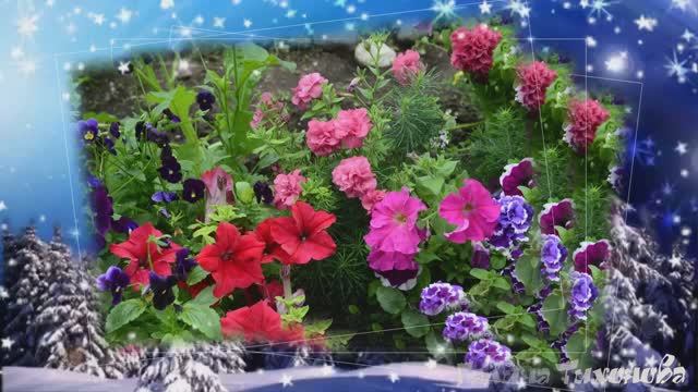 Татьянин день.... В исполнении Татьяны Михайловой смотреть онлайн