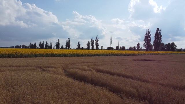 Подорож на мотоциклі у дикі місця, та ночівля на "Зміїній горі" смотреть онлайн