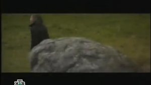 Цена любви с Юлианной Шаховой.Выпуск 073.Двойная жизнь (24.11.2004)