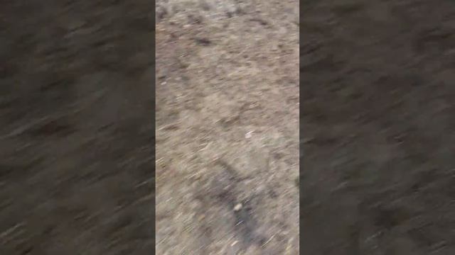 лошадиные страхи смотреть онлайн