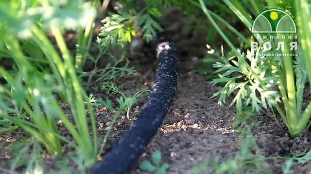 микропористый шланг мокрена смотреть онлайн