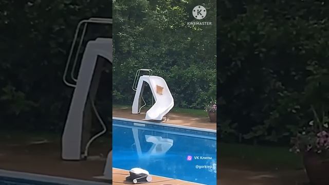 Что они творят!?🤣🤣Юмор.