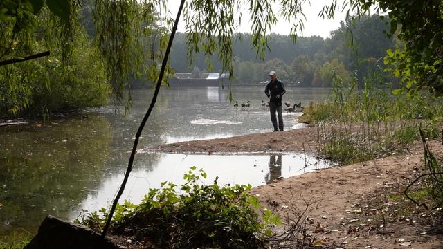 SIGMA 28-70MM F2.8 LENS REVIEW (Sony A7S3 4k 10bit)