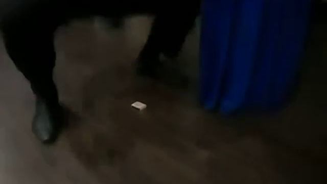 Юбилей в Чувашии смотреть онлайн