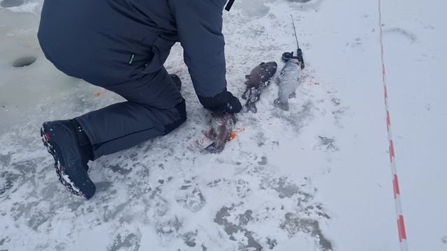 23-01-2025 смотреть онлайн