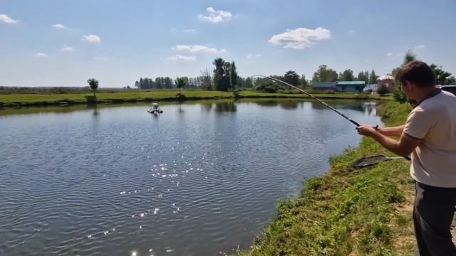 Белый амур спортивная рыбалка смотреть онлайн