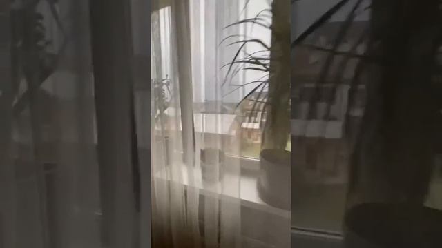 Квартира смотреть онлайн