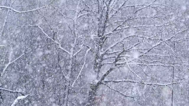 Камнем. #Dok_Freeman #стихи смотреть онлайн