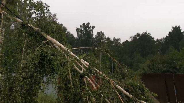 Дерево упало на провода смотреть онлайн
