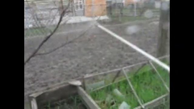 ОБРОБКА ПЕРСИКІВ смотреть онлайн