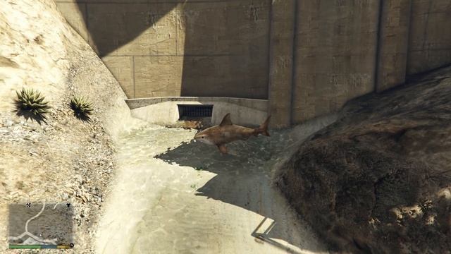 SHINCHAN Surviving 99 YEARS As MEGALODON in GTA 5 (GTA 5 Mods) смотреть онлайн