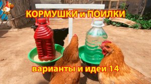 Кормушки и поилки для кур своими руками идеи и варианты (14)