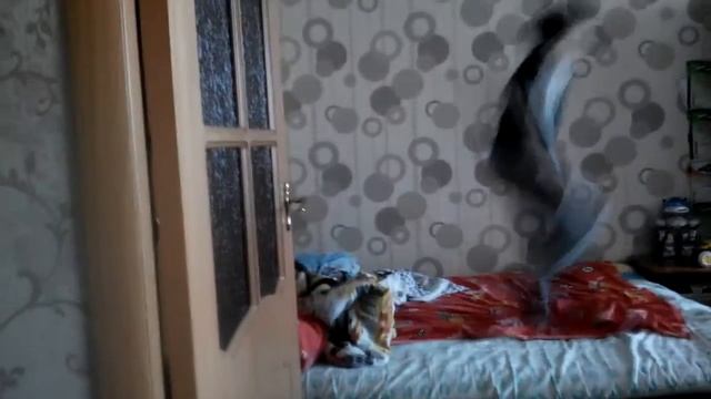 Кирилл Андреев смотреть онлайн