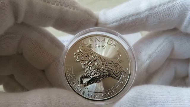 2018 Канада Хижаки ВОВК Рік Собаки 1 oz 9999 Срібна Монета смотреть онлайн