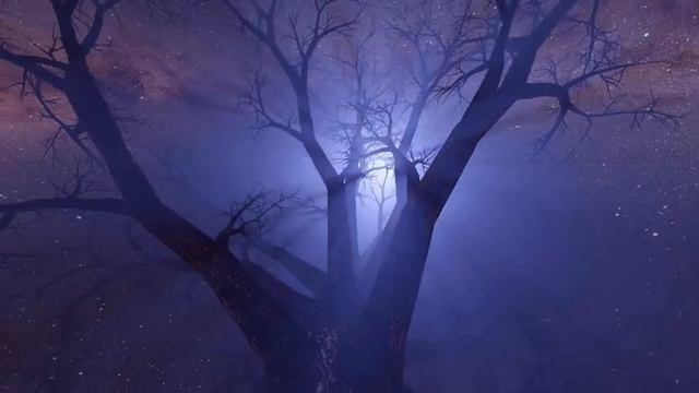 Calming Sleep Music 🎵 Stress Relief Music, Insomnia, Meditation, Relaxing Sleep Music | смотреть онлайн