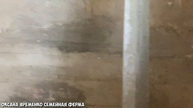 СТАРТ/ Комната для девочки-подростка/ РЕМОНТ смотреть онлайн