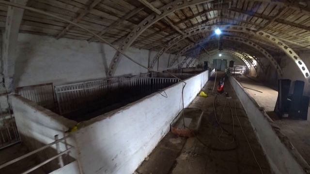 ❗ Готую клітку під свиноматок♻️ Собаки на фермі погризли вівцю❓ смотреть онлайн