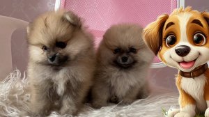 Детские песенки. Песня про щенков