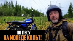 МОПЕД АЛЬФА(КОЛЬТ), ЗА ГРИБАМИ.