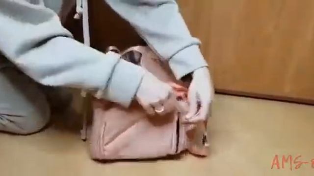 ОБЗОР НА ТОВАР МЕСЯЦА В AMS-OPT.RU - СУМКИ ДЛЯ СПОРТА смотреть онлайн