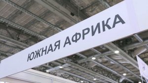 МОСКОВСКОЕ ДАЙВ ШОУ 2018. Обзор + интервью