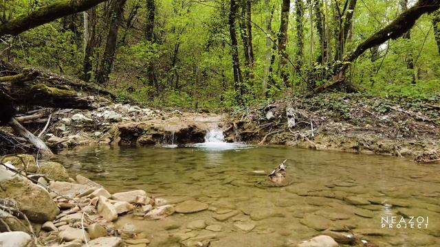 Река возле хутора "12-й Орех" Прасковеевка. смотреть онлайн