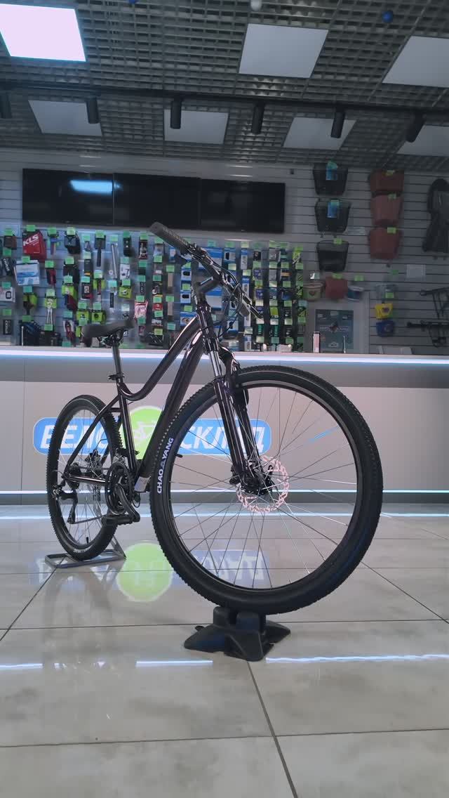 Обзор велосипеда Stels Miss 5100 MD V040 (2025) смотреть онлайн