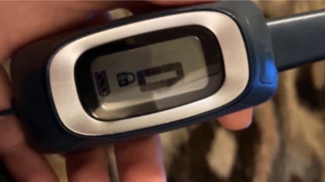 Bark Collar : You Should Try at least Once! смотреть онлайн