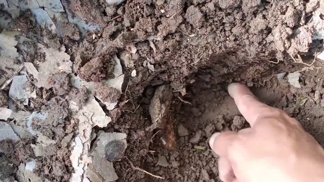 metal detektor Berburu di kebun jati ada yang usil смотреть онлайн