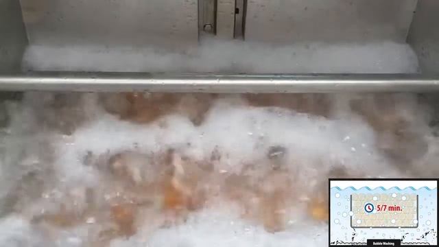 Машина для мытья яиц Bubble washer MB Ovo Tech смотреть онлайн