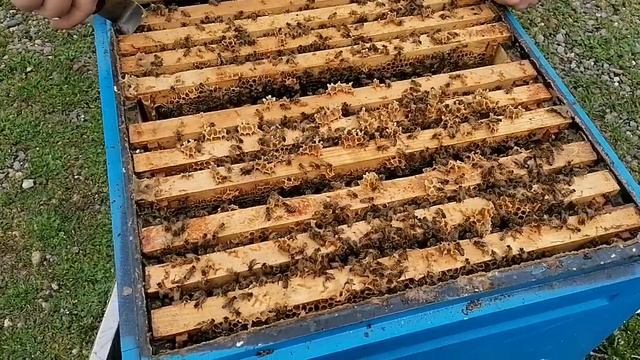 Отцовские семьи 2024год смотреть онлайн