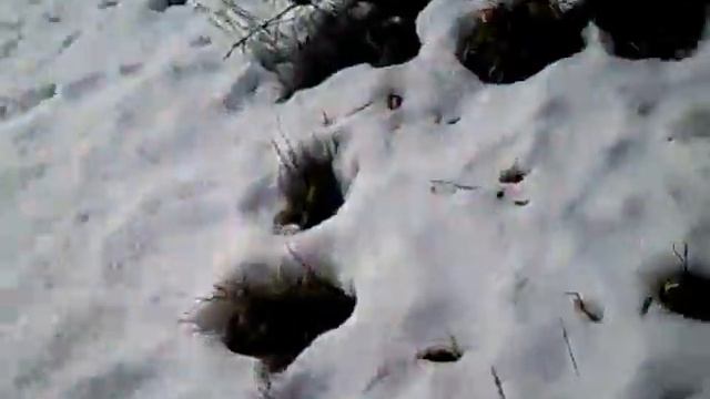 На деревне 1 смотреть онлайн