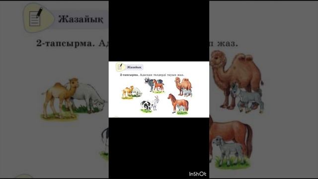 Қазақ тілі 2 сынып. Төлдер. Казахский язык для русских школ. 2-тапсырма #қазақтілі #казахскийязык смотреть онлайн