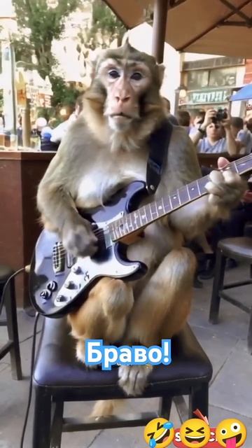 Наш виртуоз гитары😆🤣😂