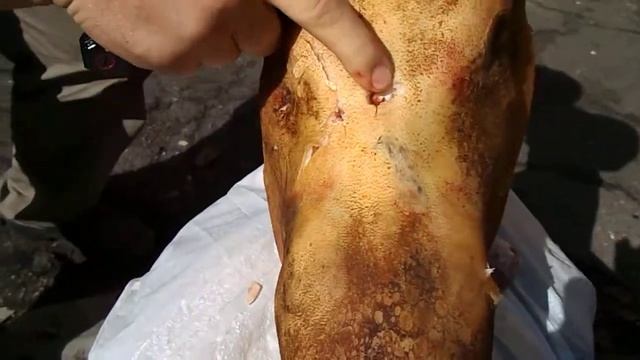 Хедхантер хряктест ножа Ferat от ТМ Mr.Blade смотреть онлайн