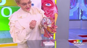 Головная боль. В чем причина? Жить здорово! Фрагмент выпуска от 23.01.2025