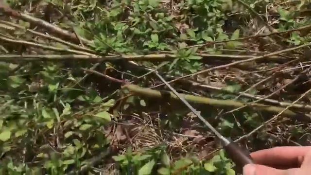 Обрядовый нож ручной работы. Испытания смотреть онлайн